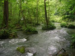 Oirase