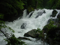 Oirase