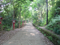 Takao-San(3)