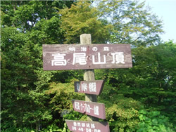 Takao-San(5)
